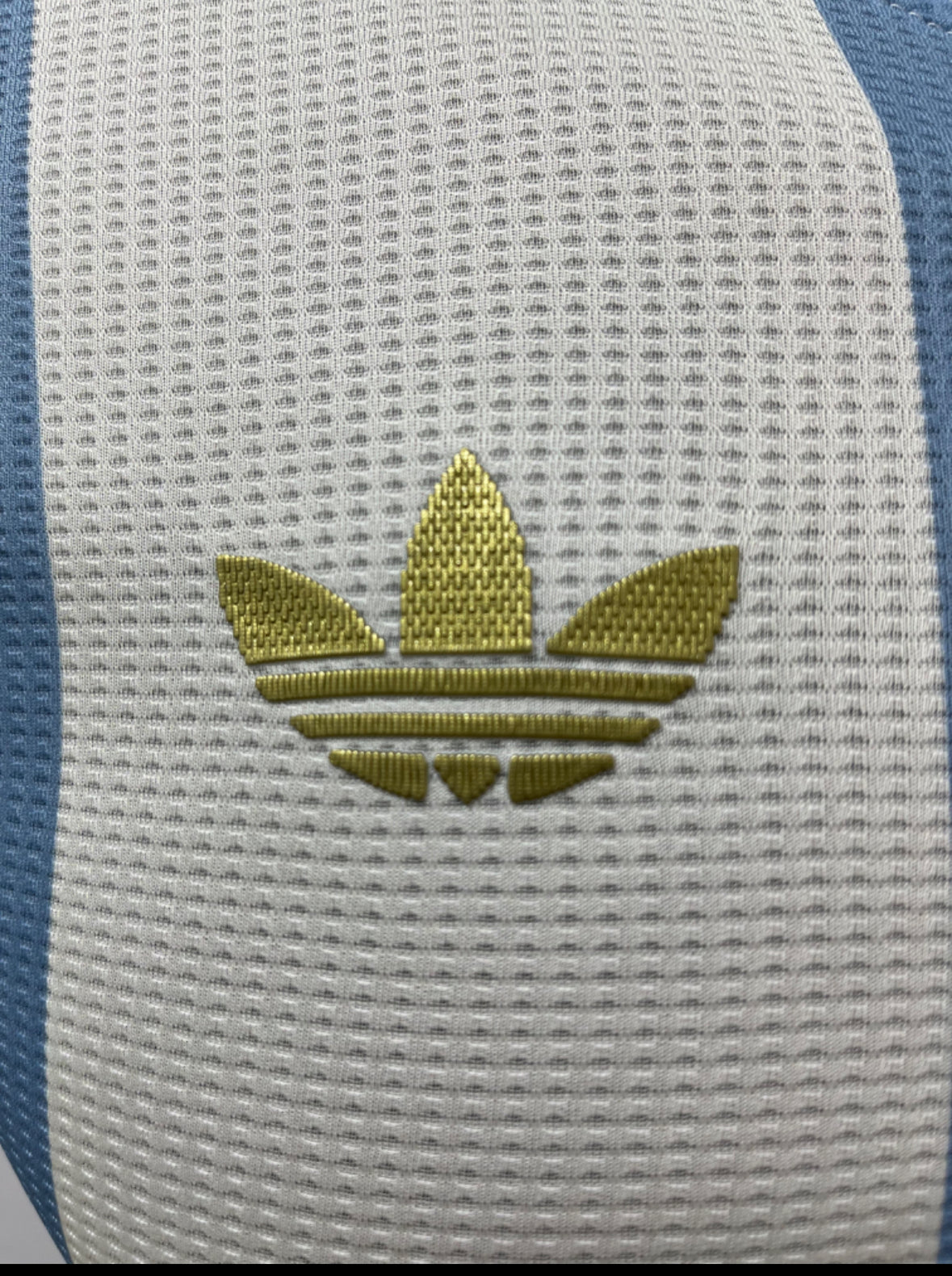 Argentina Anniversary Long-sleeve Jersey player version